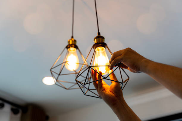 Best Electrician Near Me  in Palmetto Estates, FL
