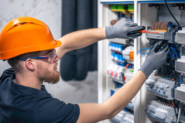 Best Electrical Upgrades for Homes  in Palmetto Estates, FL