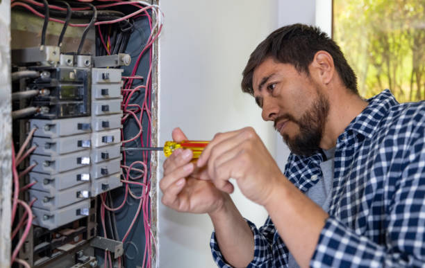 Best Residential Electrician Services  in Palmetto Estates, FL